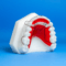 Super Modified Spring Retainer: Anterior Alignment Appliance